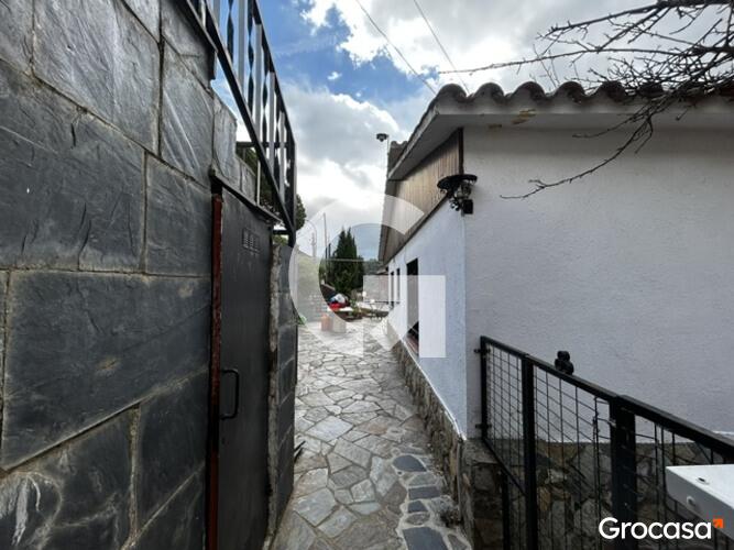 51-img