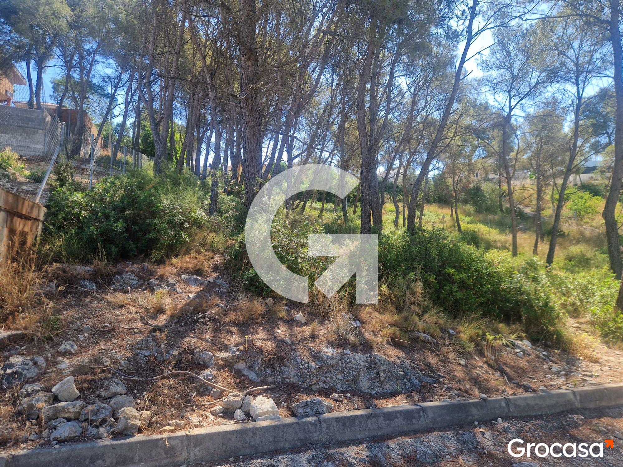 20-img