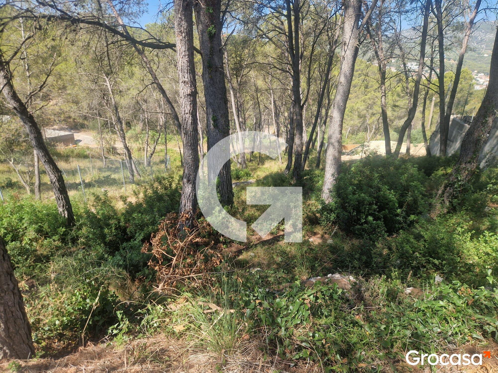 8-img