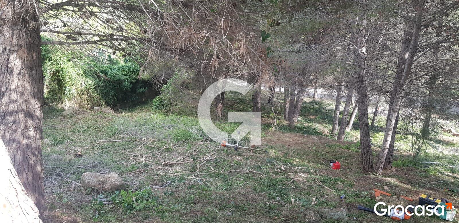  en La Bisbal del Penedès en Venta por 22.000 €